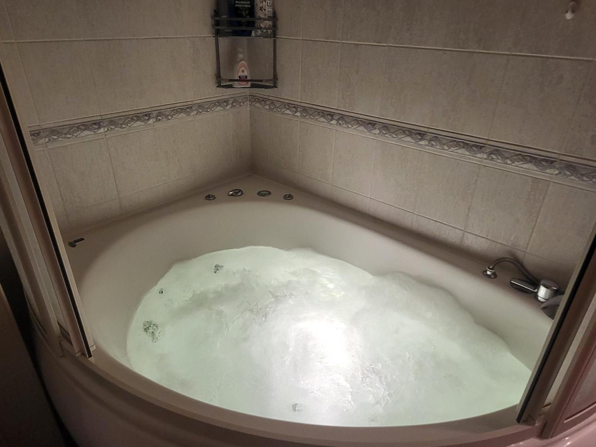 Alunana Lux Jakuzzi Apart, Facade Is Under Renovation, In Riga Art Nouveau Area, Self Check-In Exterior foto